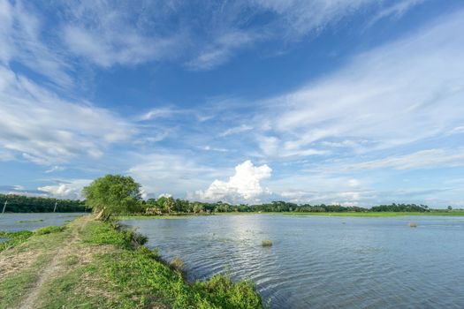 green field and blue sky with light clouds in Gopalgonj, bangladesh