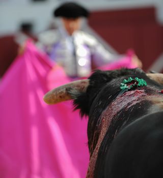 El Toro - Bullfigth corrida