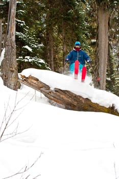 Freerider in the forest