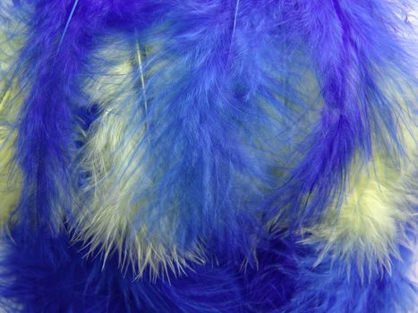 Background for design. Set of fluffy feathers.