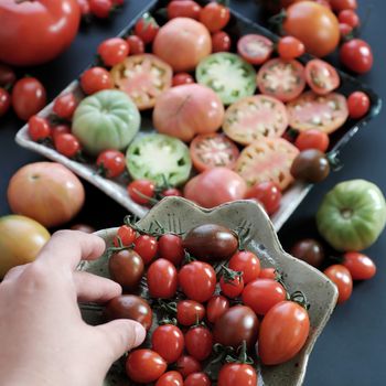 Collect of tomatoes, a popular and cheap food with many uses as antioxidants, skin care, anticancer, good for alzheimer people, this vegetable rich vitamin a, vitamin c, fiber, carotenoids, lycopene