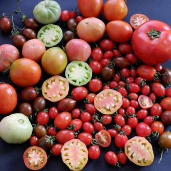 Collect of tomatoes, a popular and cheap food with many uses as antioxidants, skin care, anticancer, good for alzheimer people, this vegetable rich vitamin a, vitamin c, fiber, carotenoids, lycopene