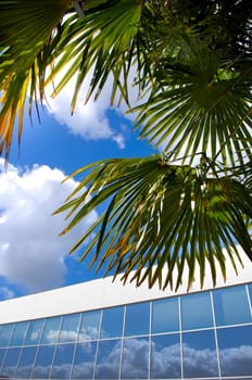 Business, Cityscape, Office, Windows, Palm, on blue sky, France