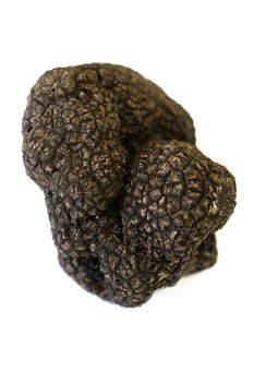 Truffle Tuber melanosporum mushroom on white background, France