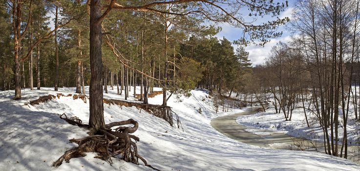 Panorama of the winter forest and frozen forest river.