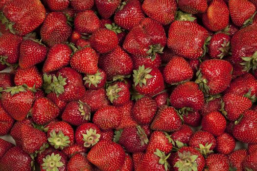 Summer berries. Red ripe strawberries.