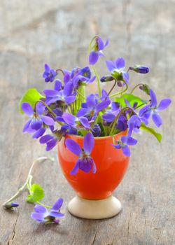 violets flowers (Viola odorata) on wood background