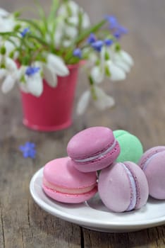 traditional french colorful macarons and spring flowers