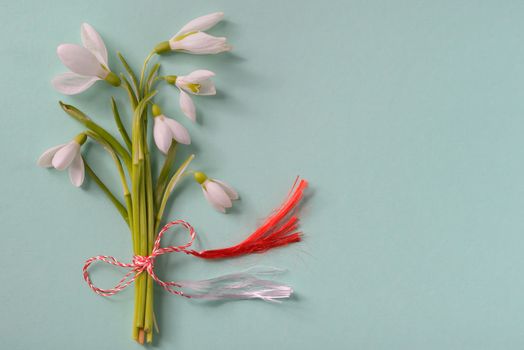 Macro snowdrops bucket on green background 