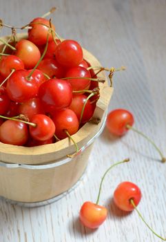 Fresh cherries in small bucket 