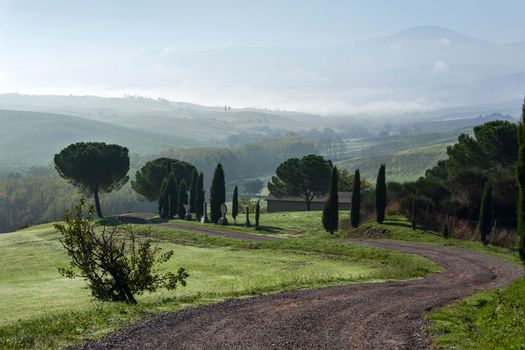 View of the hills of the Val d'Orcia from the beginning of a path.