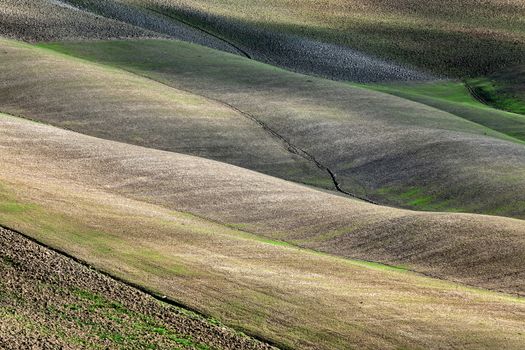 Rolling hills of the Val d'Orcia in Tuscany