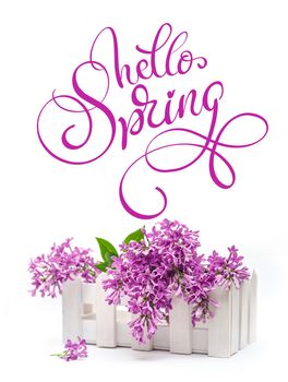 white box and lilac on a white background and text Hello Spring. Calligraphy lettering