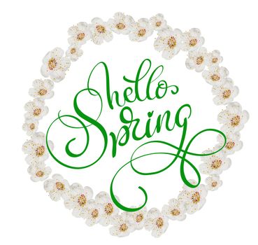 round frame of white flowers isolated on white background and text Hello Spring. Calligraphy lettering.