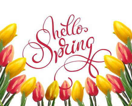 frame of yellow and red tulips on a white background and text Hello Spring. Calligraphy lettering.