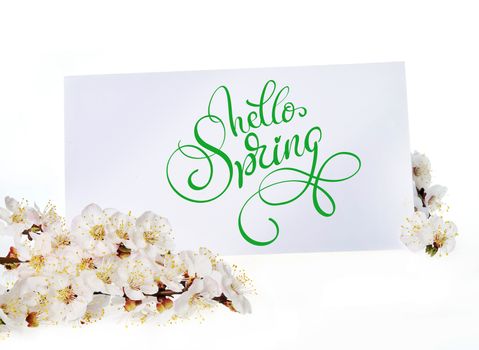 Spring greeting card with white flowers and text Hello Spring. Calligraphy lettering.