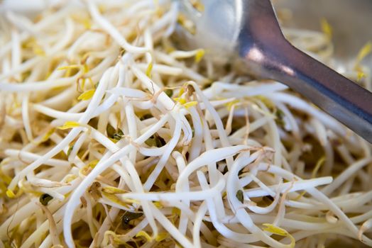 fresh bean sprouts at local restaurant with spoon .