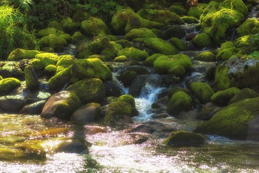 Fast mountain river with the purest water in Altay mountains, Siberia, Russia