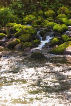 Fast mountain river with the purest water in Altay mountains, Siberia, Russia