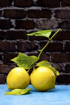 Two yellow lemons and leaf over a black wooden table blue