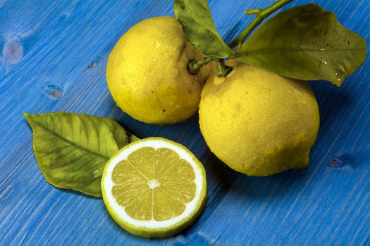 Acid and yellow fruit. Lemons on a blue wood, stock photo