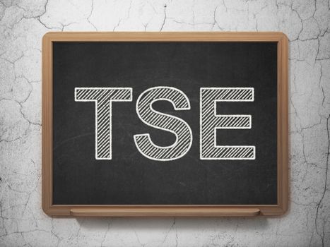 Stock market indexes concept: text TSE on Black chalkboard on grunge wall background, 3D rendering