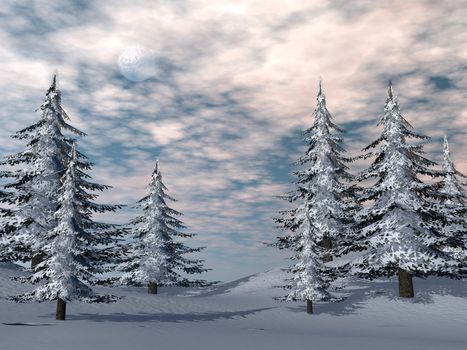 Winter fir trees landscape by sunset - 3D render