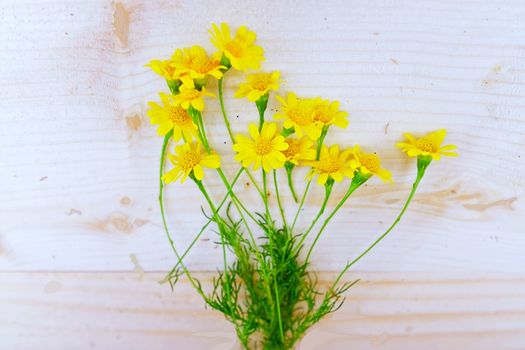 Bouquet of Yellow Daisies on the Table wood