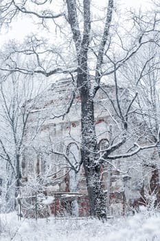 Winter landscape with the ruins of the old church and snow-covered trees