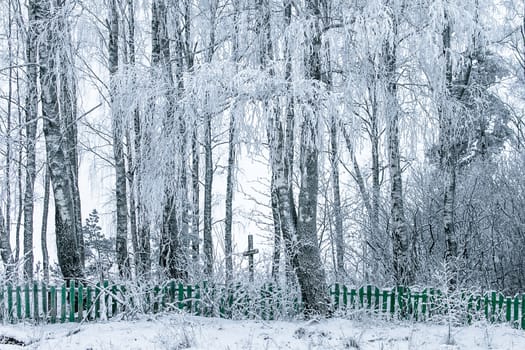 Old cemetery at abandoned  village in a winter day