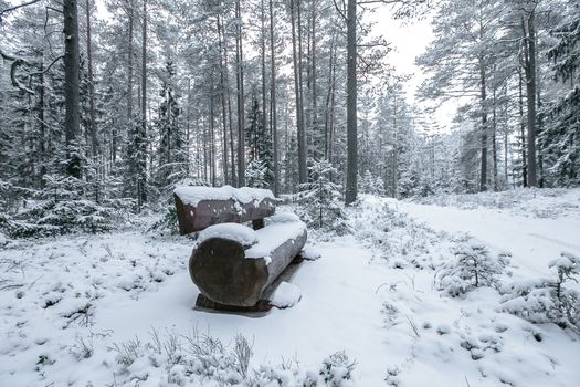 Wooden bench in the winter park