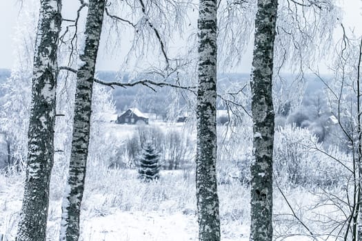 Old cemetery at abandoned  village in a winter day