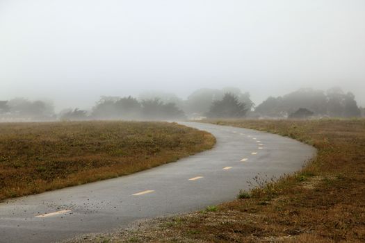 Foggy morning in California. USA