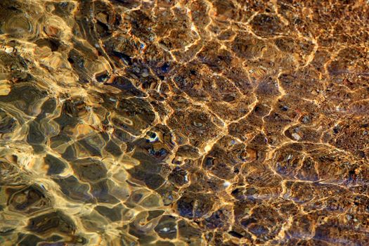 The bottom with clear water of Lake Tahoe