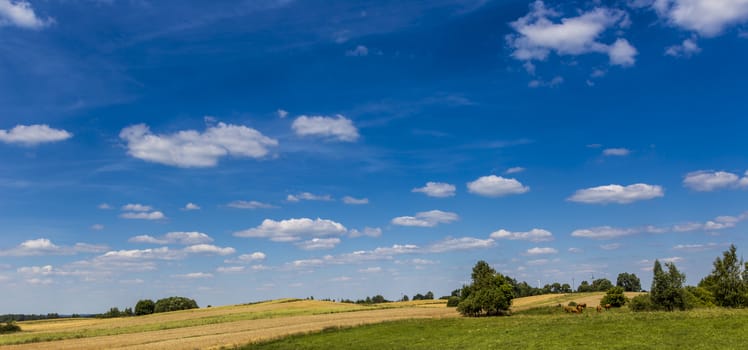 Suwalki Landscape Park, Poland.