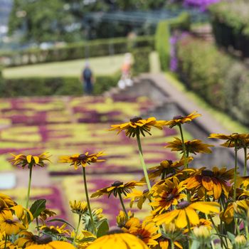 Famous Tropical Botanical Gardens in Funchal town, Madeira island, Portugal

