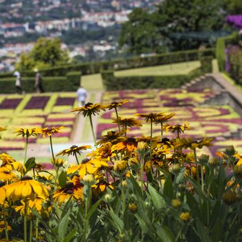 Famous Tropical Botanical Gardens in Funchal town, Madeira island, Portugal