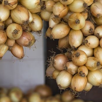 Many onions in the veranda

