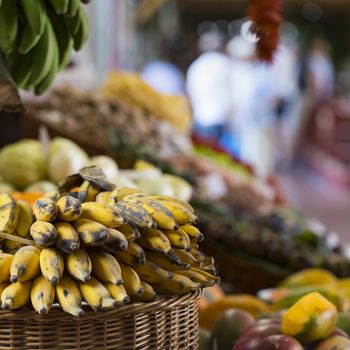 Fresh exotic fruits in Mercado Dos Lavradores. Funchal, Madeira

