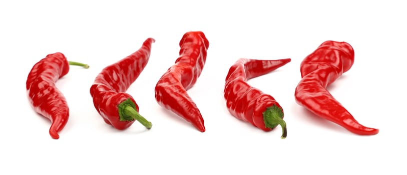 Group of five whole fresh red hot chili peppers isolated on white background, close up, low angle view