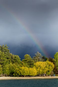 Rainbow over forest at cloudy day in New Zealand.