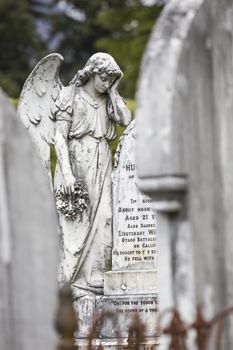 Selected cemetery statues

