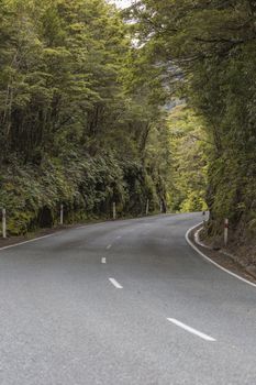 milford road along cleddau valley with the view of fiordland national park. Taken during summer in new zealand.

