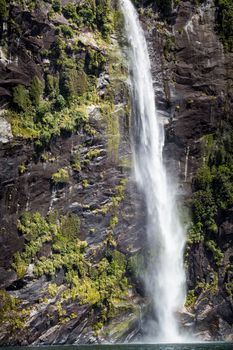 Milford sound. New Zealand fiordland 