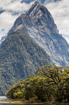 Milford Sound, Fiordland, New Zealand. 