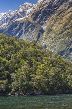 Milford Sound. Fiordland national park, New Zealand

