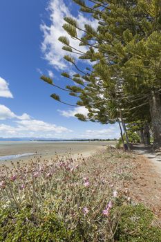 Calm seas of the Abel Tasman National Park, South Island, New Zealand

