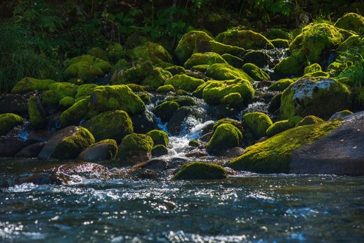 Fast mountain river with the purest water in Altay mountains, Siberia, Russia