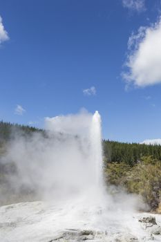 Pohutu Geyser, New Zealand

