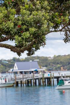 Landscape from Russell near Paihia, Bay of Islands, New Zealand